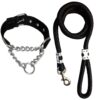 Heavy Duty Dog Chain Collar & Rope Leash Set