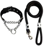 Heavy Duty Dog Chain Collar & Rope Leash Set