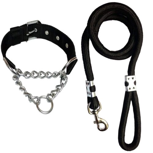 Heavy Duty Dog Chain Collar & Rope Leash Set